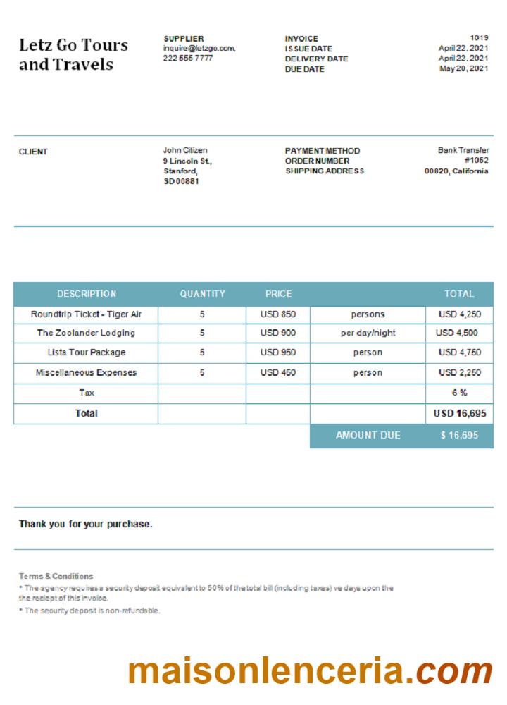 USA Letz Go Tours And Travels faktura Word and PDF template